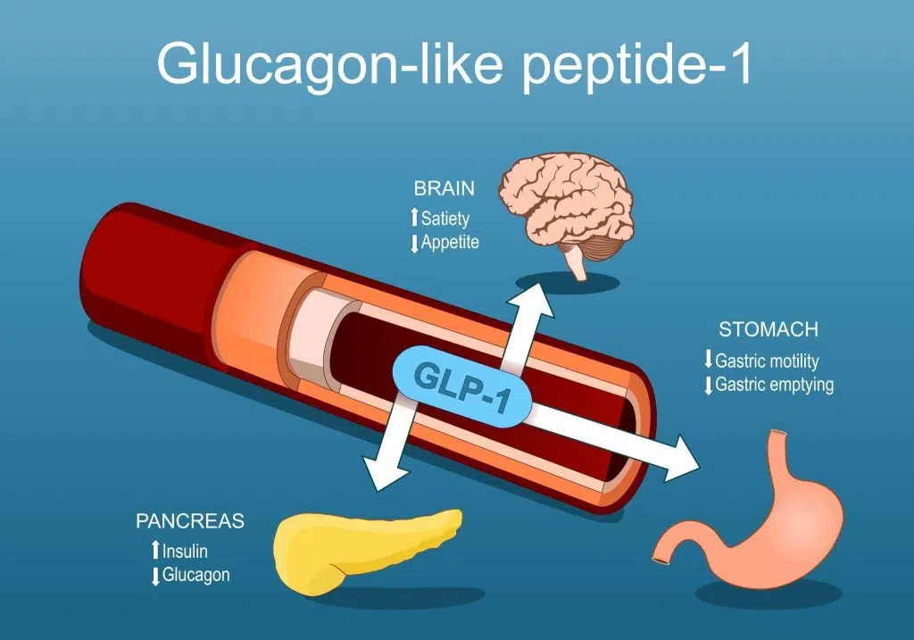 How GLP-1 Injections Work for Weight Loss